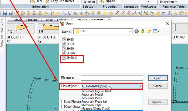 Hướng dẫn chi tiết cách nhập rập DXF vào Gerber AccuMark